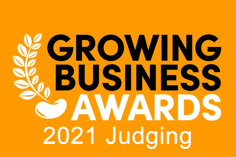 Growing Business Awards Ceremony 2021 Judging By Trent Refractories MD Katy Moss