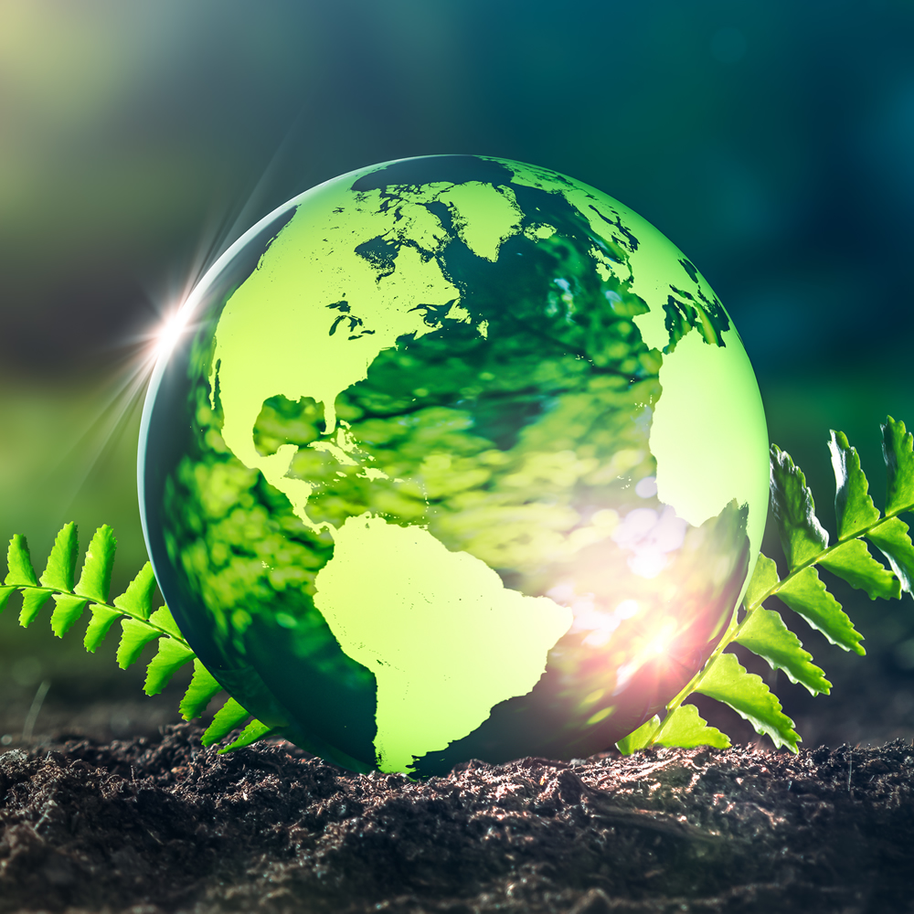 Sustainability &amp; Responsibility